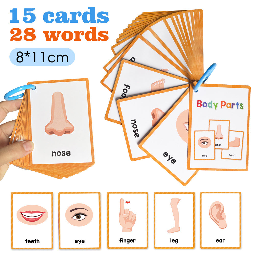 15 Cards 28 Words Youngsters English words Body Parts Cognitive Card learning Flash Cards for Youngsters Education Enlightenment English Learning Card