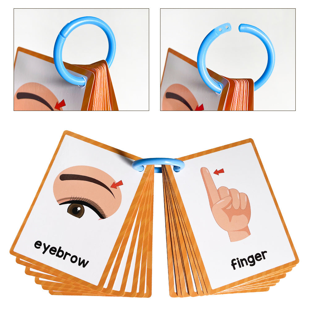 15 Cards 28 Words Youngsters English words Body Parts Cognitive Card learning Flash Cards for Youngsters Education Enlightenment English Learning Card