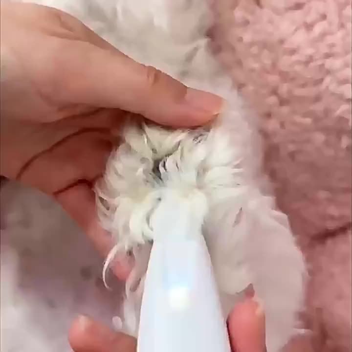 Pet Grooming Clippers LED Assisted Lighting Safe Low Noise USB/Battery Life Pet Beauty Electric Trimmer LED Light Assistance Safe Low Noise USB/Battery Life