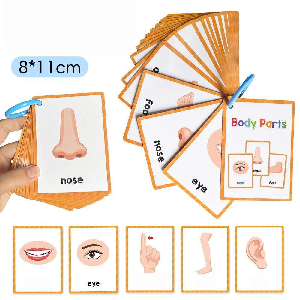 15 Cards 28 Words Youngsters English words Body Parts Cognitive Card learning Flash Cards for Youngsters Education Enlightenment English Learning Card