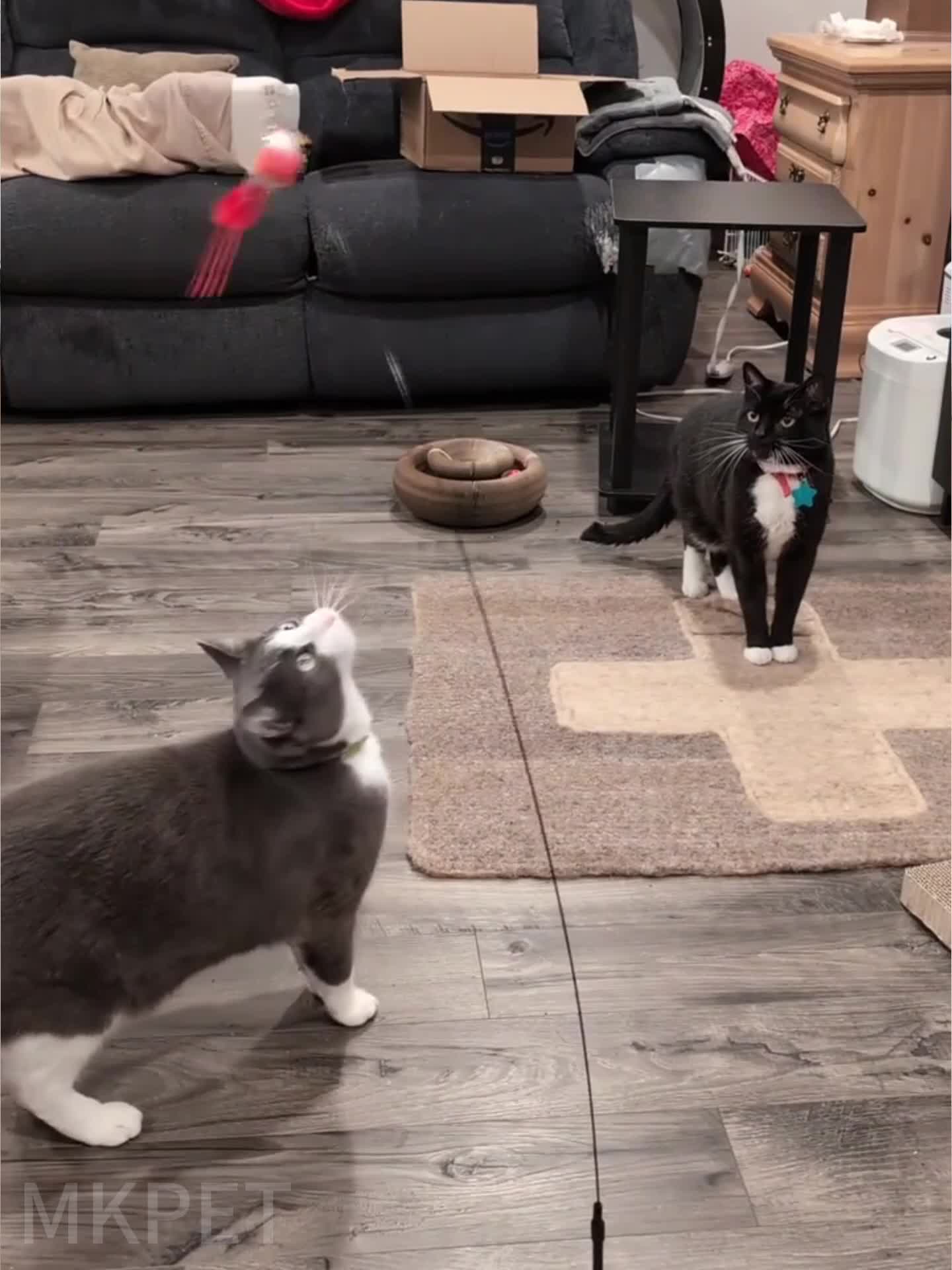 3pcs Cat Toy Stick Set with Simulated Bird and Mouse, Hands-Free Bird Cat Stick Long Pole Dual Rod with Bell Strong Suction Cup Interactive Cat Toy for Kittens Hunting Pet Supplies Accessories Handmade Toy Suitable as a Birthday Gift for Cats Faux Feather