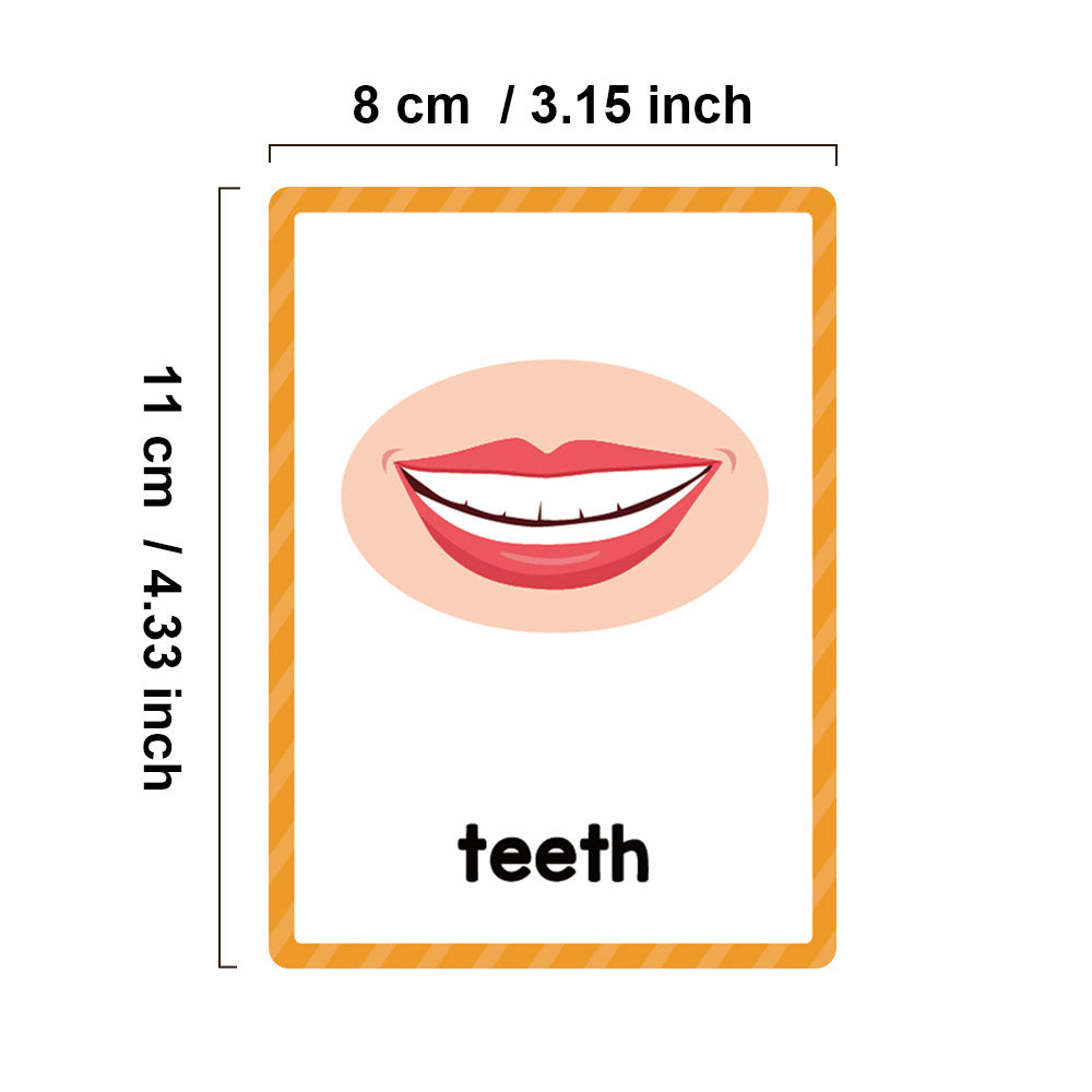 15 Cards 28 Words Youngsters English words Body Parts Cognitive Card learning Flash Cards for Youngsters Education Enlightenment English Learning Card
