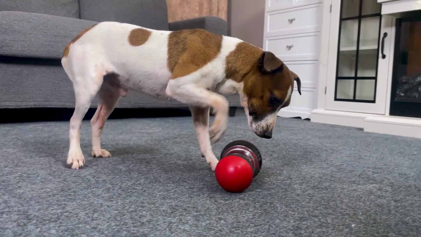 Interactive Dog Treat Dispenser Toy - Durable Chew Ball for Dental Health, Slow Feeder Puzzle for All Breeds