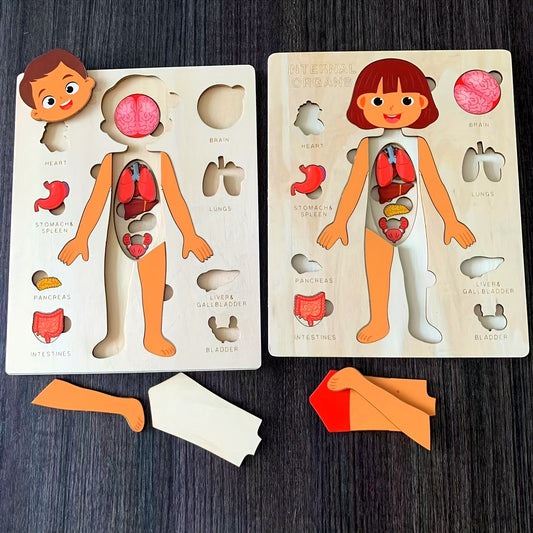 [Interactive Learning] Wooden Human Body Puzzle for Youngsters - Educational Cognitive Learning Toy with Stages of Life, Organs, and Systems - Ideal for Early Development and Parent-Child Interaction, Youngsters Development | Interactive Learning Toy | De