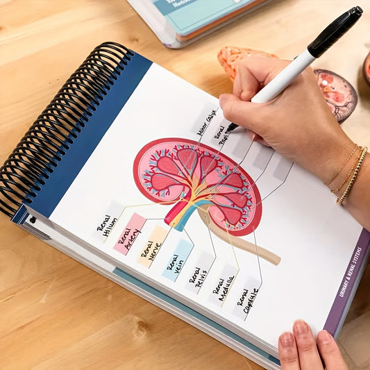 1pc Anatomy Label Lab Workbook: 100+ Full-Color Dry-Erase Anatomy & Physiology Study Guide with Labeled Human Body Diagrams, Medical Terminology, Color-Coded Organs for Medical Students, Biology Classes, Study Groups, Educational Workbook | Organized Layo